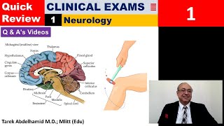 Internal Medicine CME USMLE ECG Clinical Medicine Neurology Medical Examinations  محاضرات باطنة : screenshot 2
