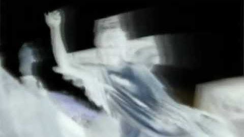 Voxifera Draconis 2012 - The XprnX Chaos