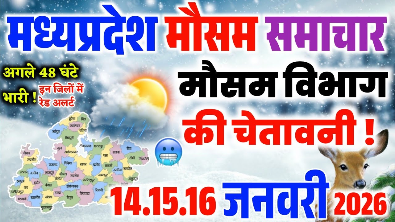 मध्य प्रदेश में अचानक बदला मौसम, ठंड और बारिश का असर | MP Mausam Update