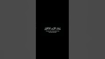شاشة سوداء _ القارئ رعد الكردى #اكسبلور #قرآن #لايك