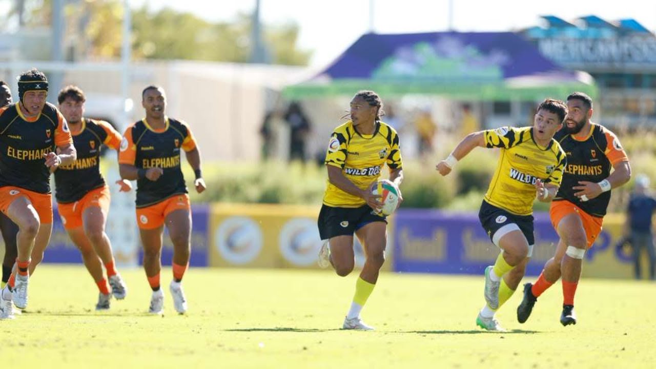 Serengeti Elephants vs Cape Town Wild Dogs (Men – Nov 23 – R10C)