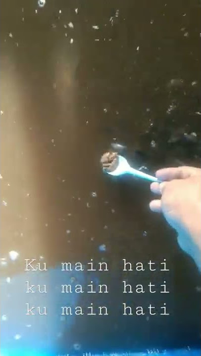 Ku main hati