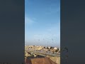 Zindagi TU he muktasir ho jy #pigeonlaver #youtubeshorts #kabootar #birds