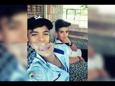 الشاخصيا حمزة محمد نور