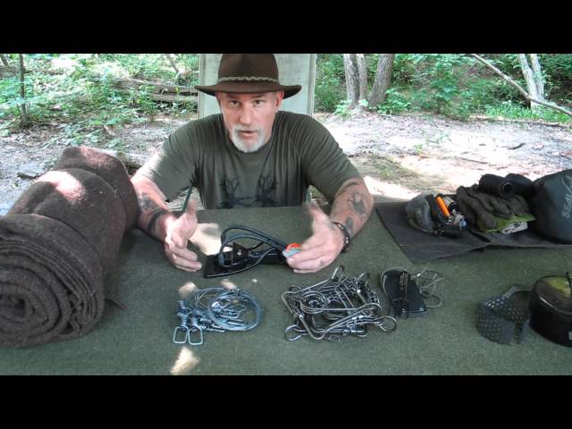 Survivability vs Sustainability.wmv