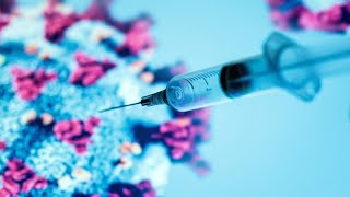 Virus Update: Pfizer Sees Covid-19 Shot Before Year End