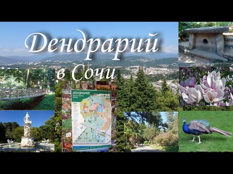 Сочинский Дендрарий – история – канатная дорога