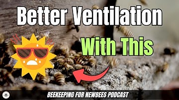 Better Ventilation and Robbing Management With This Entrance Reducer!  🐝🔥