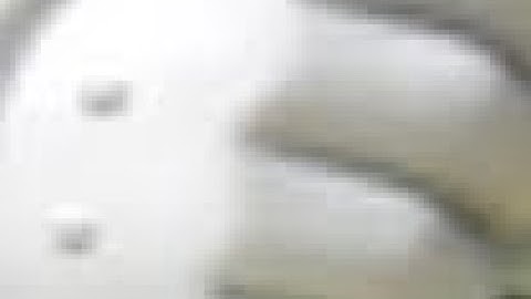 What Will Dance Dance Revolution Of Mario Mix In 2024 Be Like