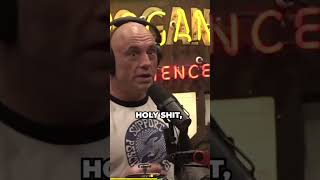 Joe Rogan and Post Malone Speak on U.S Confirming Aliens