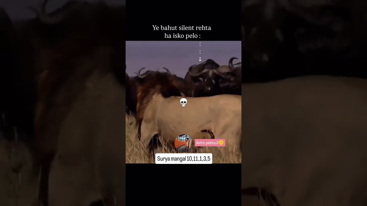 DM for kundli reading 