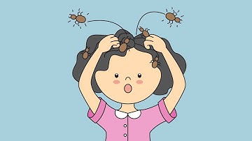 Myths and Facts About Lice in Our Lives - #1