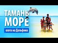 Тамань, море, пляж «Волна» | Охота на дельфина