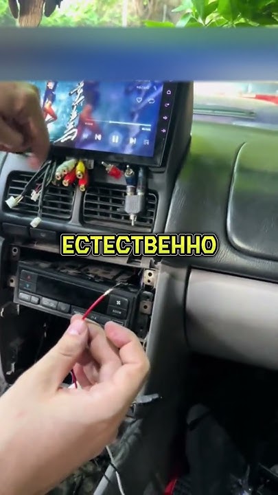 КАК ЧЕЛОВЕК ПРОВОДИТ МУЗЫКУ⚡️ - YouTube