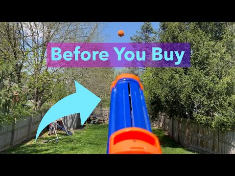 Nerf Dog Tennis