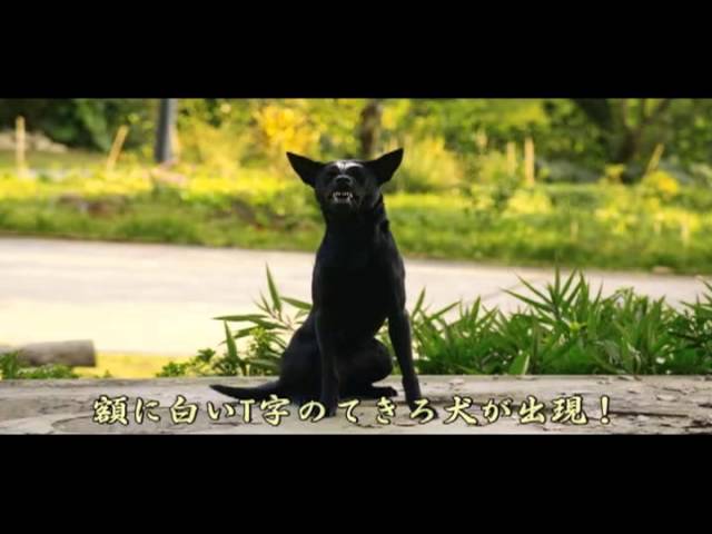 映画『人間万事塞翁が犬』予告編