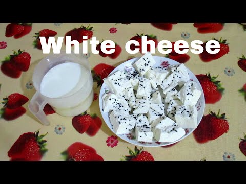 how-you-make-white-cheese-like-arabe-recipe-by-arabic-food-in-english