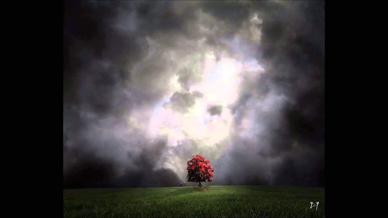 Fred & The Healers ~ Love is a lie