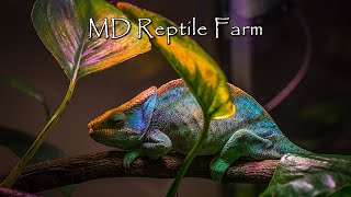 Maryland Reptile Farm Expos & Shows Promo 2023