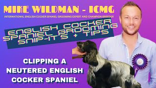 Mike Wildman's Saturday SnipIT  Clipping A Neutered English Cocker Spaniel