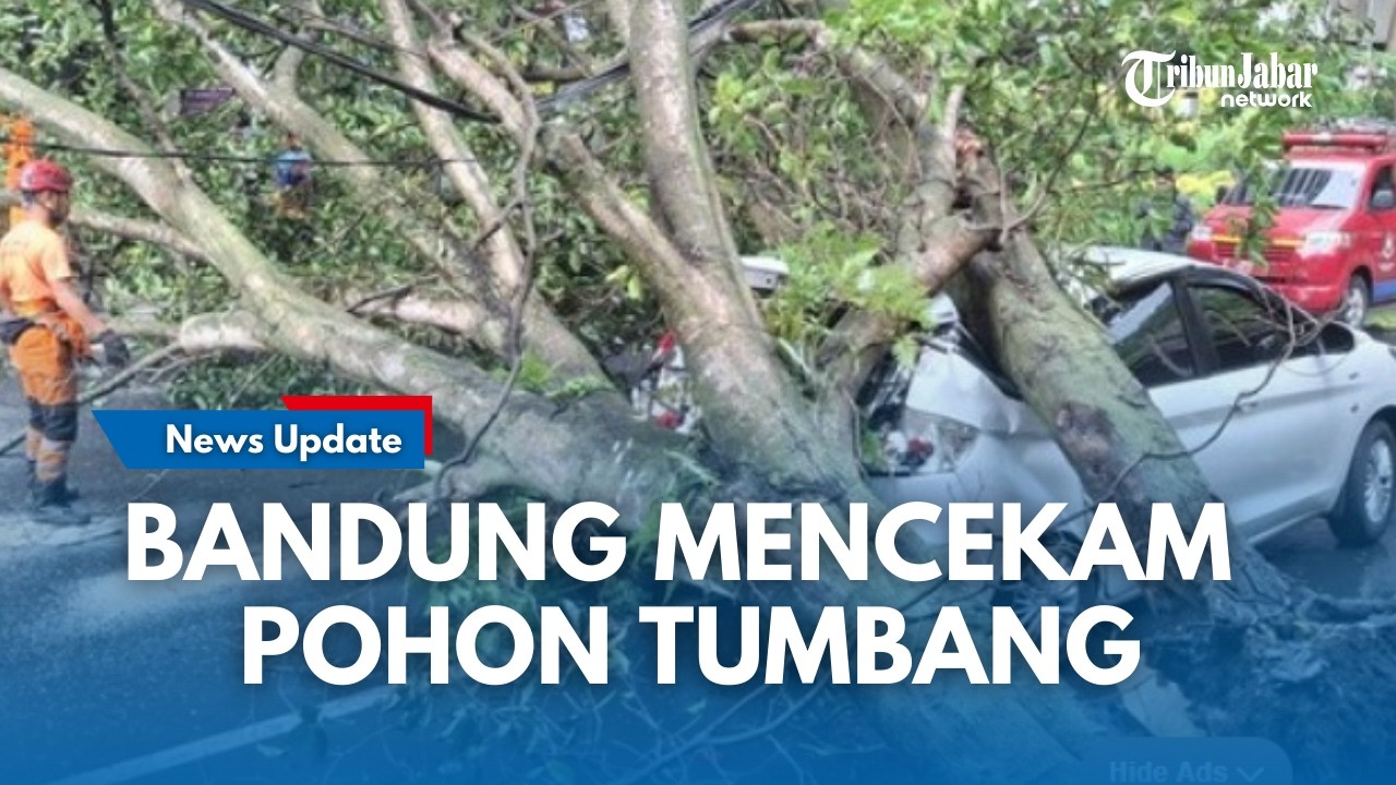 LIVE : CUACA EKSTREM Hitungan Jam di Bandung !!! Sejumlah Pohon Bertumbangan