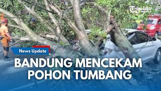 LIVE : CUACA EKSTREM Hitungan Jam di Bandung !!! Sejumlah Pohon Bertumbangan