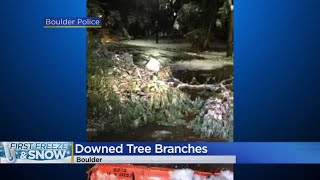 Crews Respond To Downed Trees All Over Colorado After Summer Snowstorm