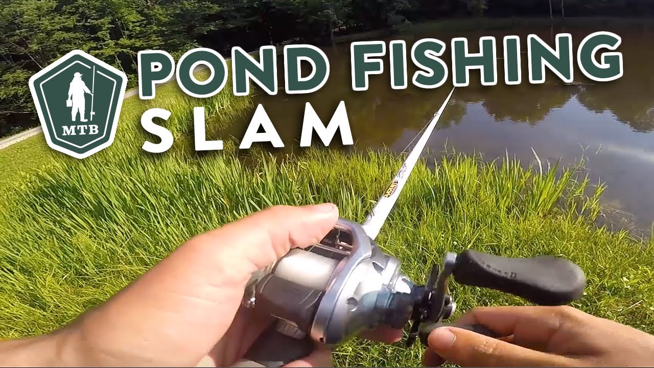 Summer Pond Fishing In The Dog Days of Summer | MTB Slam