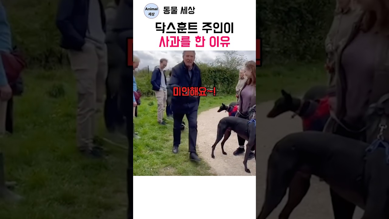 닥스훈트 주인이 사과를 한 이유