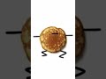 Im a pancake