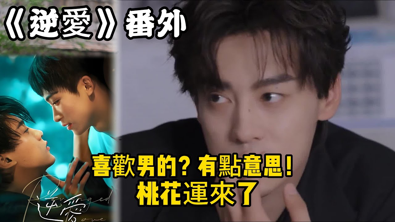 《逆愛》番外！：（21）喜歡男的？有點意思！桃花運來了。#田栩宁 #梓渝 #吴所畏 #池骋 #逆爱 #revenged