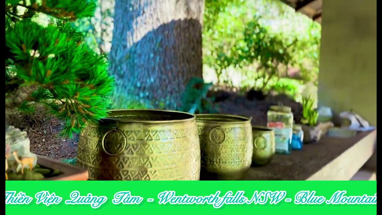 Quang Tam Zen Monastery in Blue Mountain _ Australia