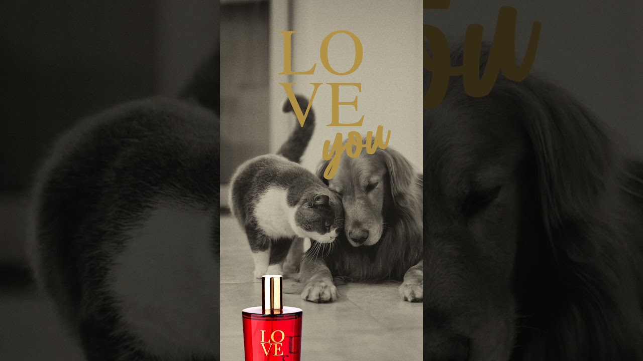 Teatro Fragranze Uniche - LOVE Home Fragrance & Diffuser 