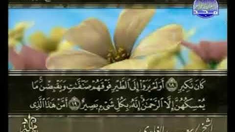 سورة الملك بصوت الشيخ سعد الغامدي