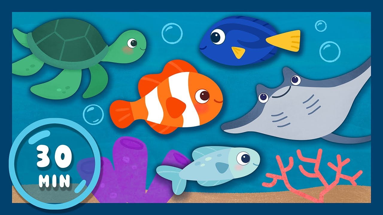 Under the Sea Baby Sensory 🐟 | 30 Min Ocean Adventure for Babies & Toddlers