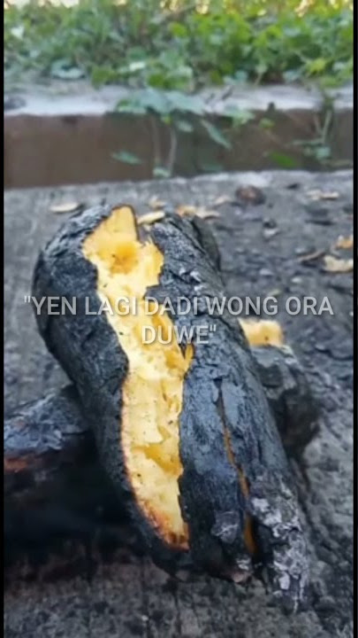 STORY WA ' KOK KOYO NGENE ABOT SANGGANE '