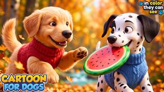 Labor Day Dog TV 🎇 Happy Dog Cartoons for Home Alone Pets 🍁📺 Reduce Anxiety for Dog with Calm Music screenshot 1