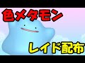 🔴【ポケモンSV】色違いメタモンレイド！誰でも参加OK！ Pokemon Scarlet Violet Live Stream【参加型】