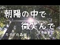 朝陽の中で微笑んで/荒井由実  (歌詞ccボタンで表示)松任谷由実 ハイファイセット #yumimatsutoya 【ピアノ弾き語り】宅録 yuneカバー