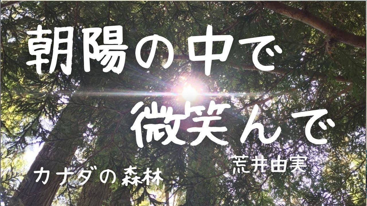 松任谷由実「朝陽の中で微笑んで」パンフレット CD付き 松任谷由実