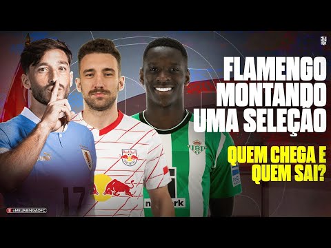 LUIZ HENRIQUE VEM? VAI E VEM DO FLAMENGO.