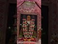 मेरे मन में भी राम मेरे तन मेंभी राम 🙏🌹🙏#ssdn #shrianandpur #spritualsathi #ytshorts #trending