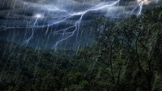 Rain Forest Thunder & Rain Sleep Sounds | White Noise