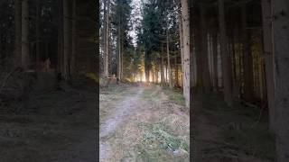 Download Lagu #love #harz #nature #mountains #hiking #wandernimharz #travel #harzerwandernadel MP3