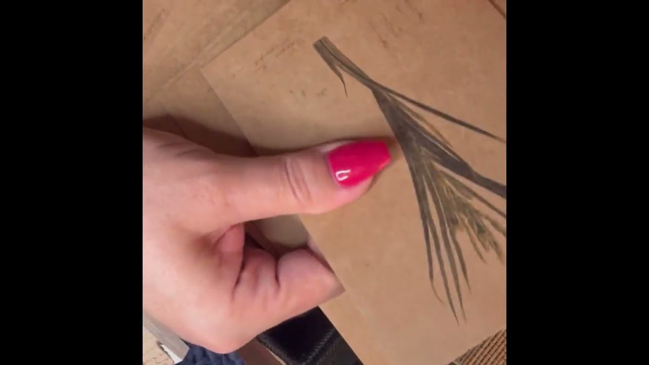 ASMR Journaling Junkie!