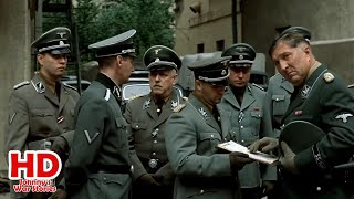 Downfall - Nazi politics at the end of the war Resimi