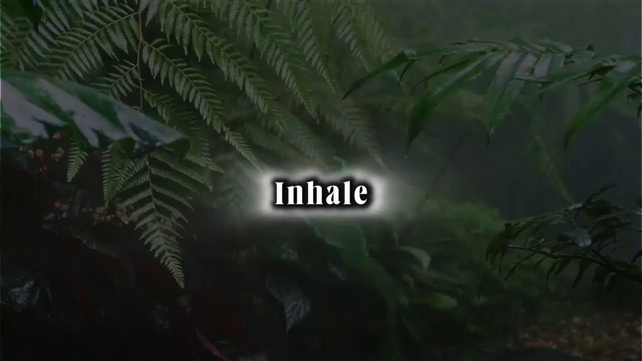 Deseret Sleep Stories & LDS Mormon Bible Verses Live Stream