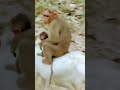 #video#funny #