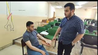 Radial nerve examination
