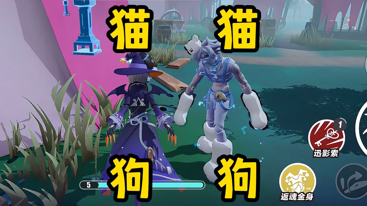 【蛋仔派对】猫猫狗狗大战小蛋糕！